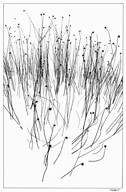 Winter Graphics Winter Graphics