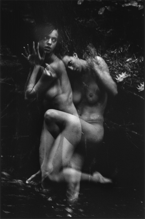 Flight (From Mating Dance Series) Flight (From Mating Dance Series)