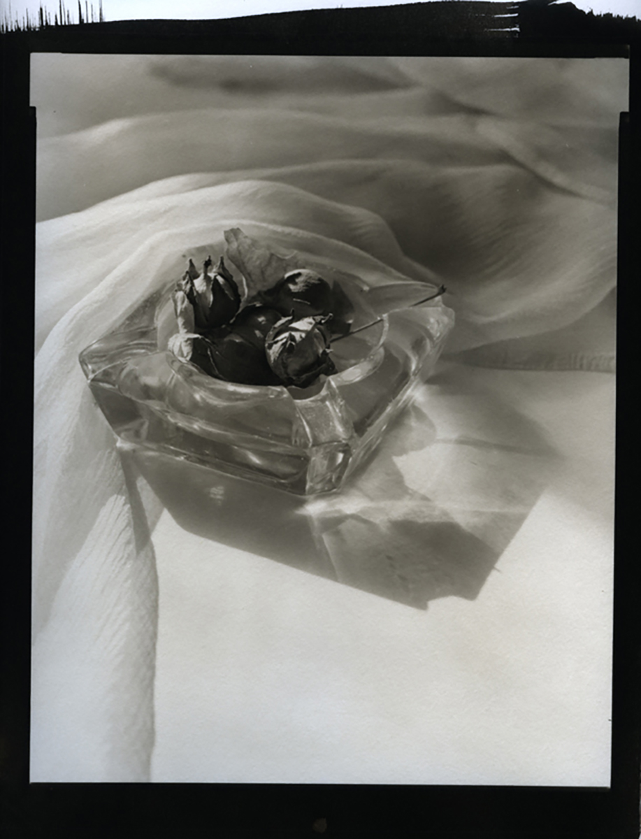 Ash Tray and Hazel Nuts