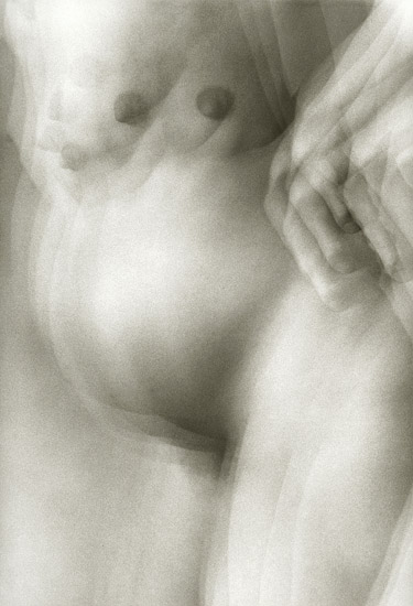 En Attendant Ludwik (Photosynthese) En Attendant Ludwik (Photosynthese)