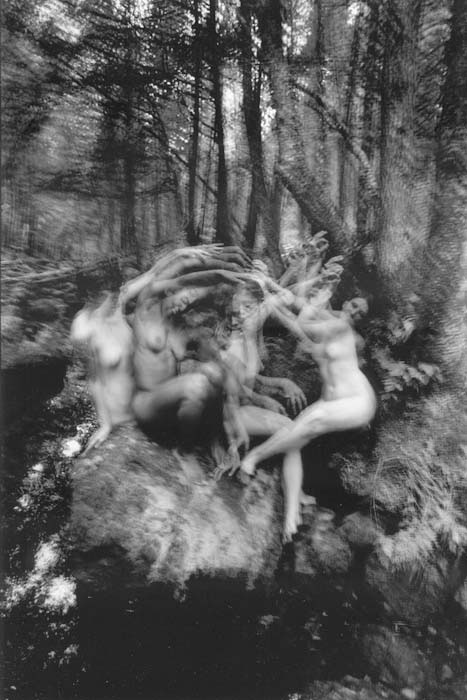 Dancing Dryads (From Rhythm from Within Series) Dancing Dryads (From Rhythm from Within Series)