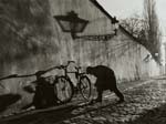 Stanko Abadžic - Untitled (Man Repairing Bicycle Tire)
Click for Details Stanko Abadžic - Untitled (Man Repairing Bicycle Tire)
Click for more Images