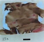 Cecily Brown - Big Film Still
Click for more Images