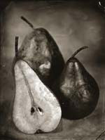 Tom Baril - Two and a Half Pears
Click for more Images