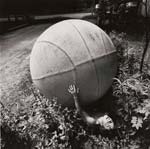Arthur Tress - Boy with Giant Ball, New York
Click for more Images
