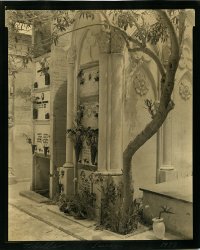 Thomas John Shillea - Curved Tree, Campo Santo, Sicily
Click for more Images