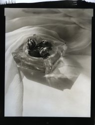 Thomas John Shillea - Ash Tray and Hazel Nuts
Click for more Images