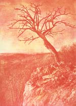 Ted Jones - Virginia Landscape #39
Click for more Images