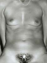 Marcel Marien - Le triangle des sorciere
Click for more Images